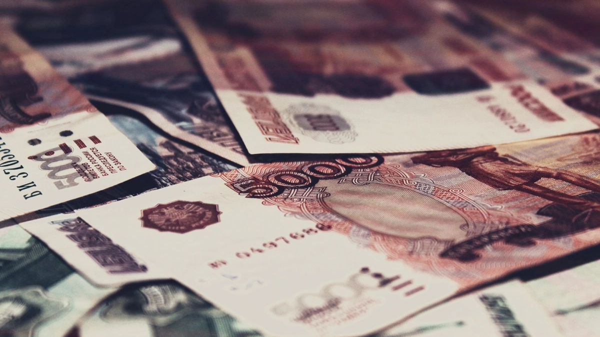 В Аграрном университете выявили хищений на сумму более 1 млн рублей - tvspb.ru