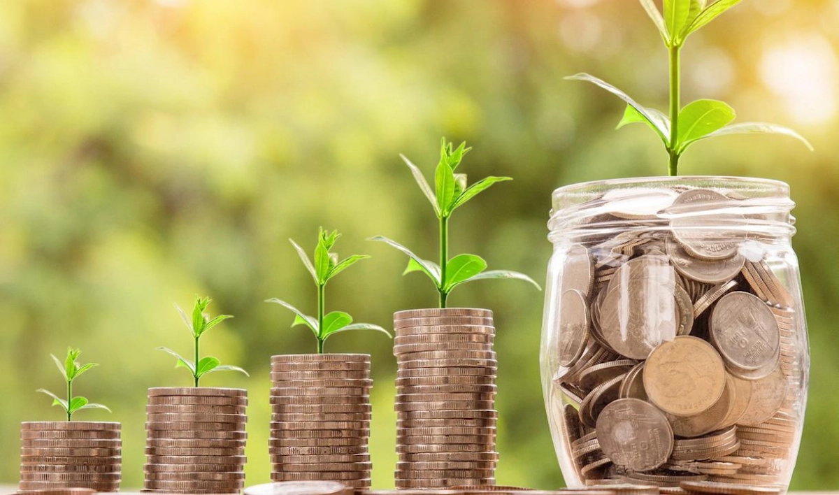 Эксперты рассказали, в какой валюте лучше хранить деньги - tvspb.ru