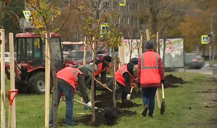 В Курортном районе садовники высадили 597 деревьев и 4300 кустов - tvspb.ru
