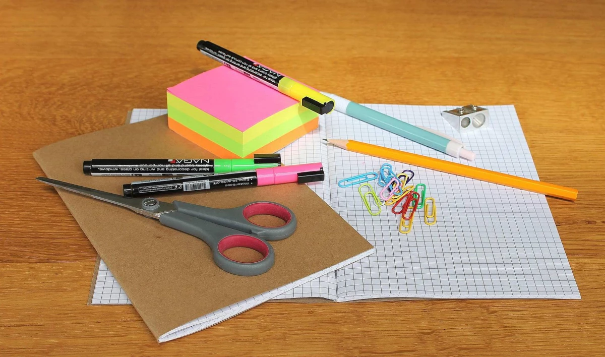 В 2020 году набор первоклассника в России подорожал на 2% - tvspb.ru