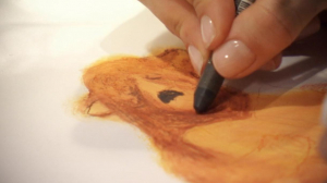 Художник-иллюстратор Наташа Шалошвили