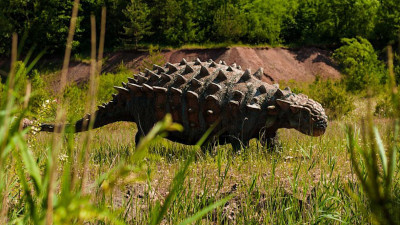 Палеонтологи СПбГУ выяснили, что один из видов динозавров мог «остужать» мозг