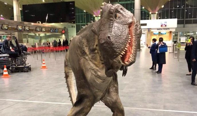 Ночью в «Пулково» бегал динозавр - tvspb.ru