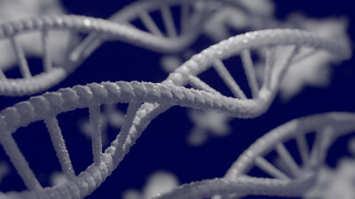 Невролог спрогнозировала прорыв в области изучения генетического здоровья в течение 5 лет