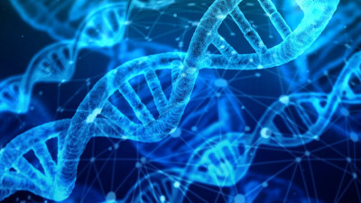 В ИТМО создали выявляющую вирусы ДНК-машину