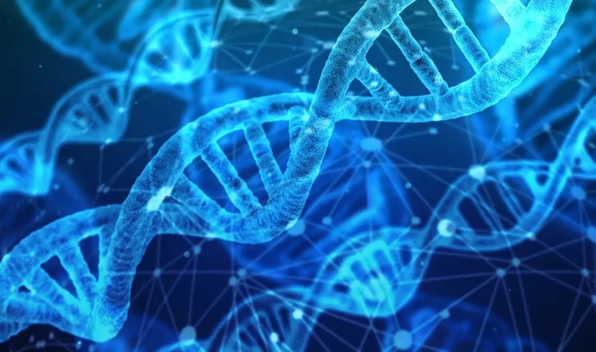 Шведские ученые выделили геном женщины, жившей 34 тысячи лет назад - tvspb.ru