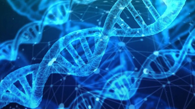 Шведские ученые выделили геном женщины, жившей 34 тысячи лет назад