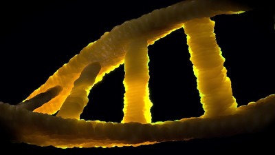 Генетические особенности человека влияют на тяжесть течения COVID-19