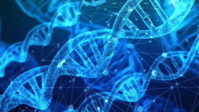 Мир отмечает День ДНК