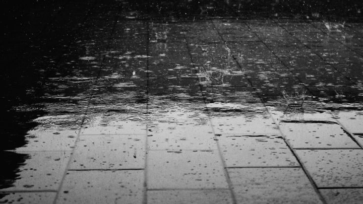 Дожди и грозы ожидаются в воскресенье в Петербурге - tvspb.ru