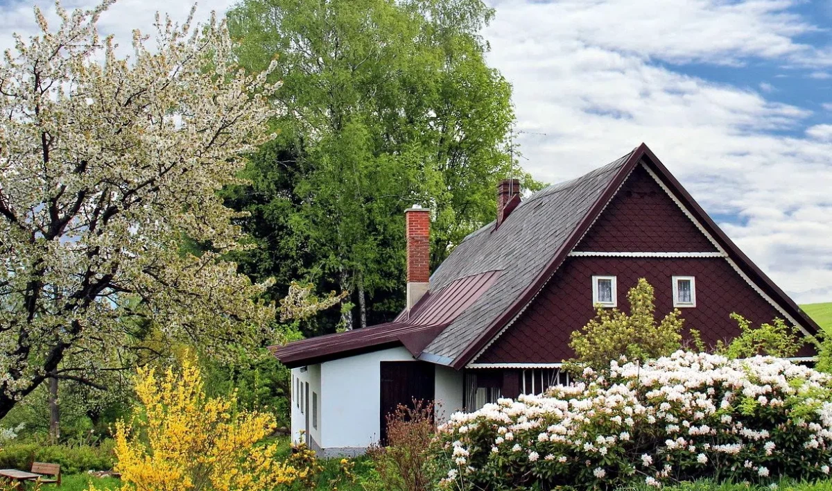 В пригородах Петербурга подорожали земельные участки - tvspb.ru