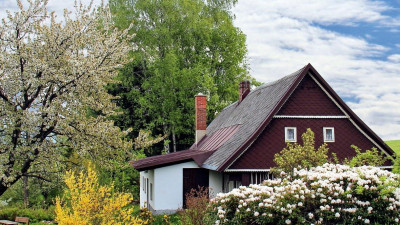 Петербуржцы стали чаще арендовать загородную недвижимость