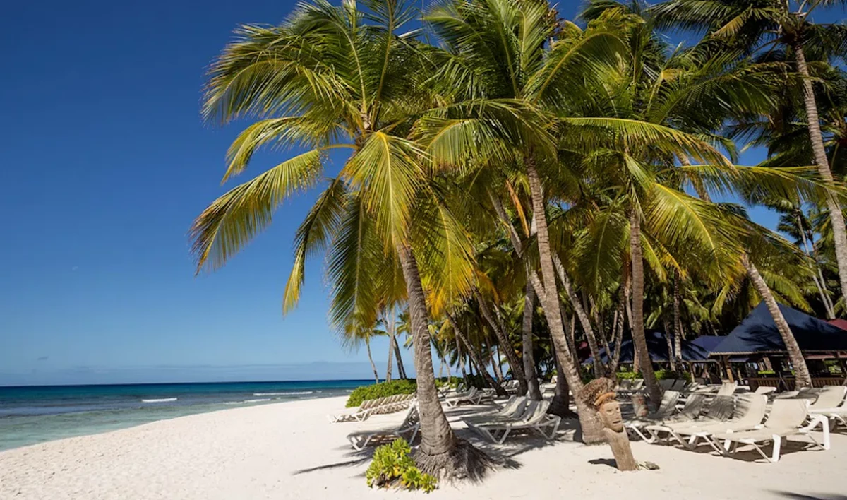 В Доминикане прокомментировали слухи об изменениях в правилах въезда детей - tvspb.ru