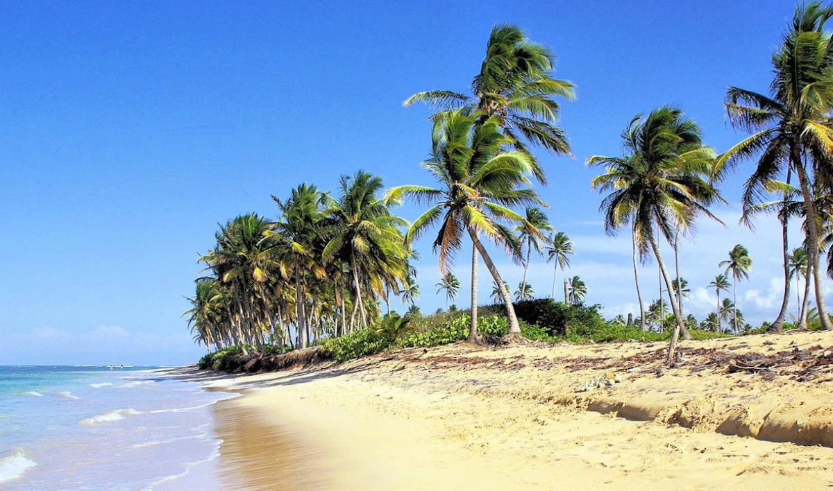 На курортах Доминиканы количество случаев коронавируса близко к нулю - tvspb.ru