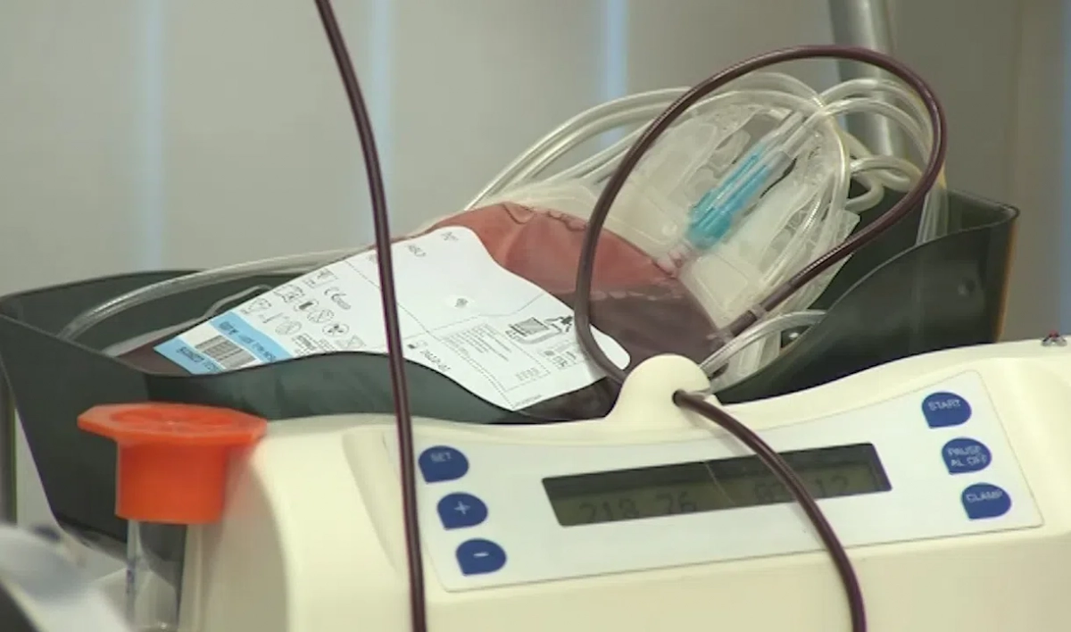 Больше половины петербургских таксистов готовы стать донорами крови - tvspb.ru
