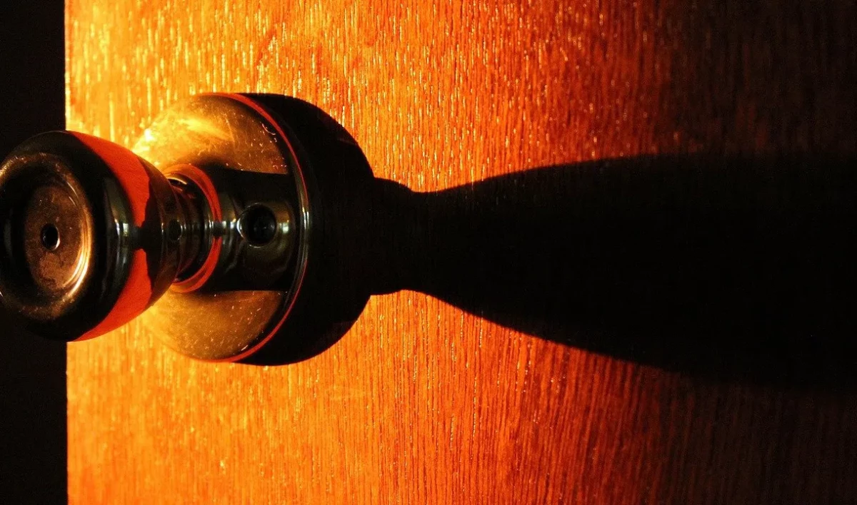 Назван самый быстродорожающий район Петербурга по ценам на вторичку - tvspb.ru