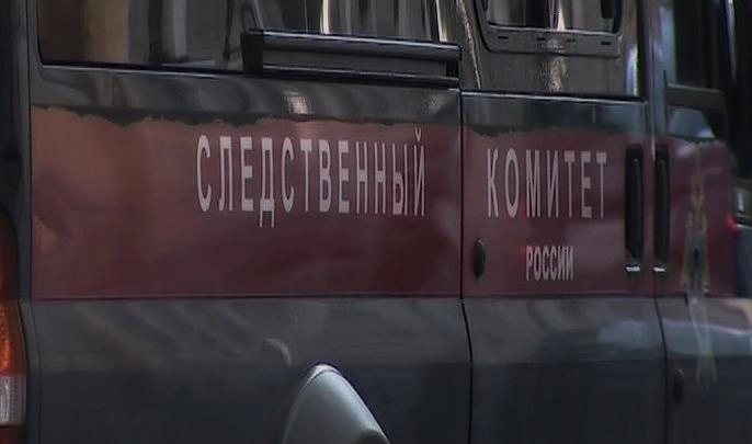 Следователи начали проверку по факту обнаружения мертвого младенца в обувной коробке - tvspb.ru