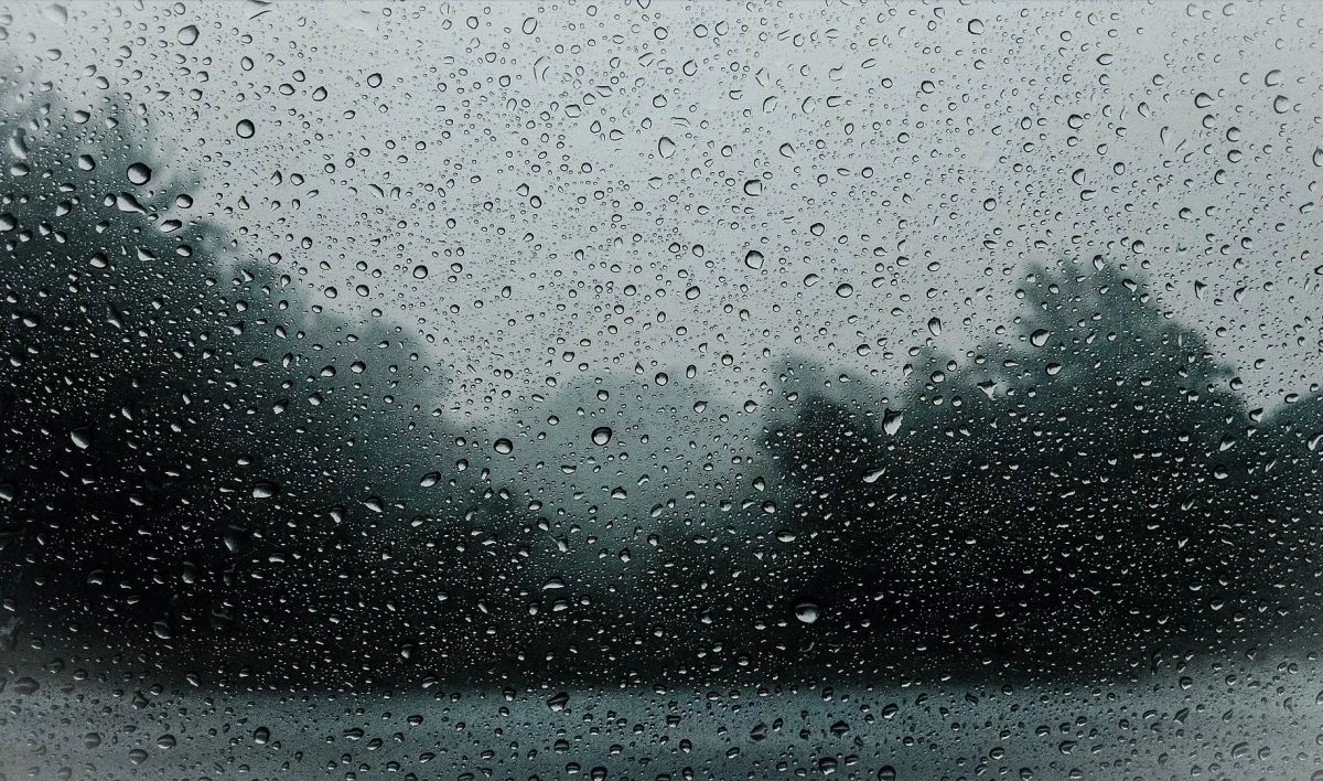 Психологи рассказали, как справится с раздражением к дождю и слякоти - tvspb.ru