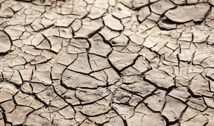 Ученые рассказали о вероятности аномальной засухи на Земле - tvspb.ru
