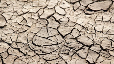 Ученые рассказали о вероятности аномальной засухи на Земле
