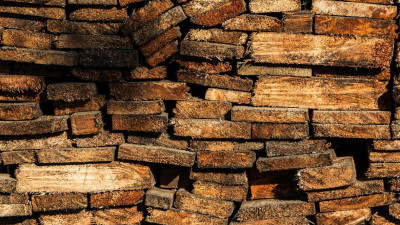 Петербург и Ленобласть в 2019 году экспортировали 3,5 млн кубометров леса