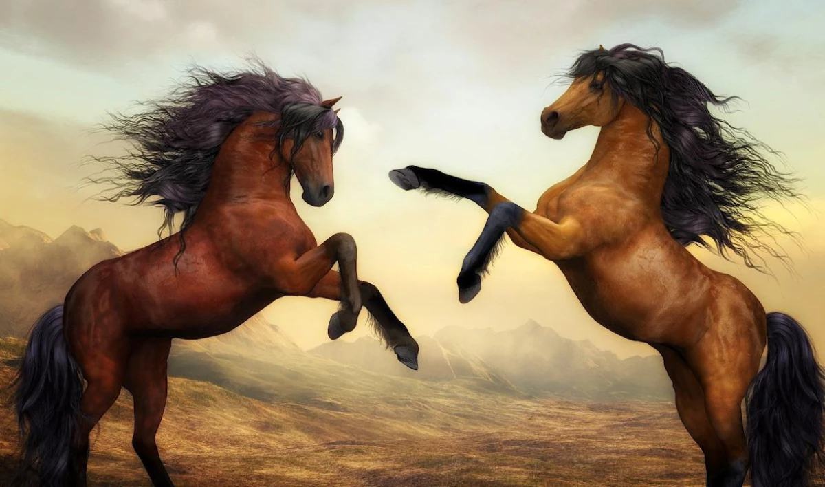 День Фрола и Лавра: история и традиции праздника - tvspb.ru