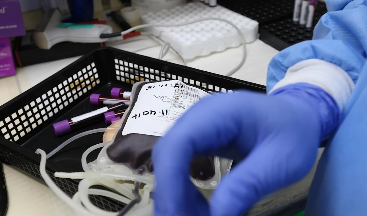 Дрезденская клиника консультировала медучреждения Петербурга по вопросам применения антиковидной плазмы - tvspb.ru