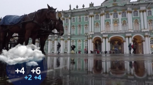 В четверг в Петербурге потеплеет до плюс шести