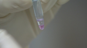 Петербургские ученые подключились к разработке вакцины против Эболы