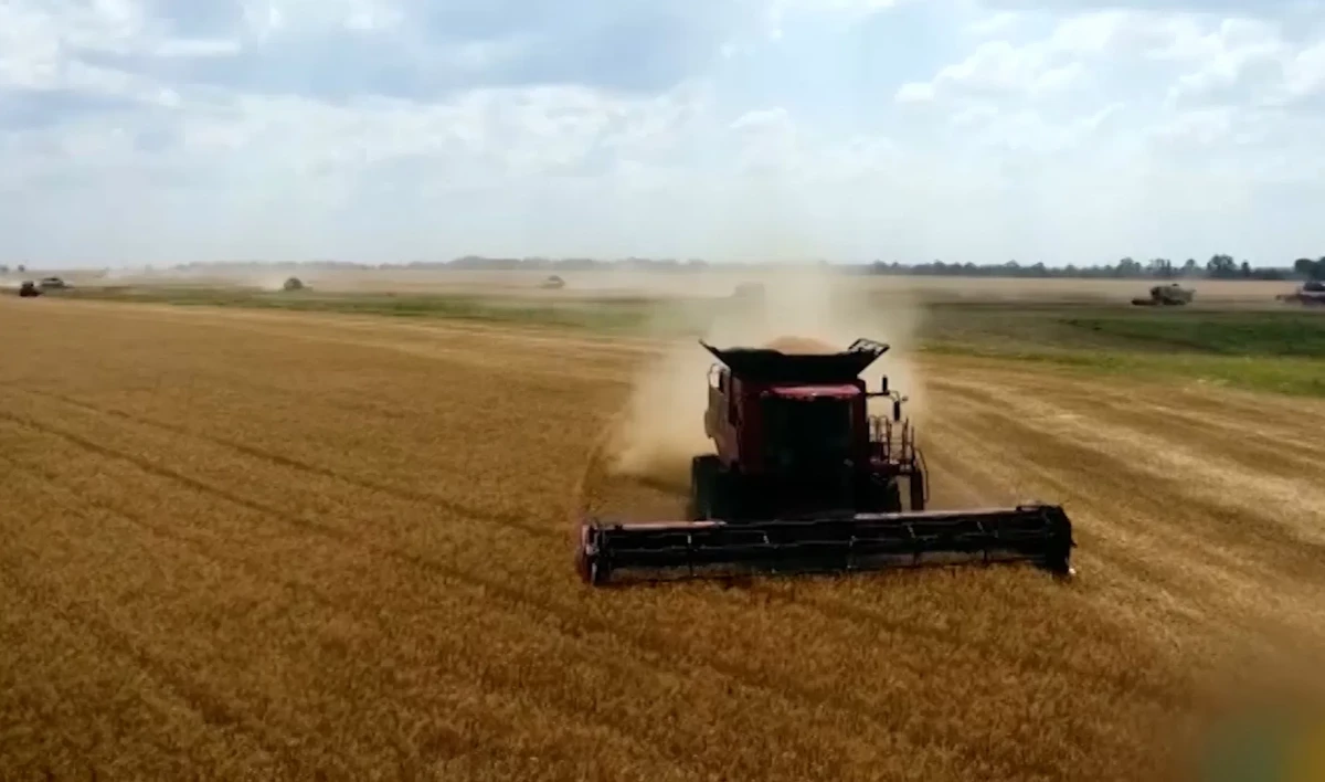 Правительство выделит 900 млн рублей на развитие IT-технологий в сельском хозяйстве - tvspb.ru