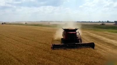 Правительство выделит 900 млн рублей на развитие IT-технологий в сельском хозяйстве