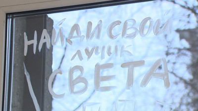 Окна библиотеки на площади Чернышевского стали холстом для петербургских художников