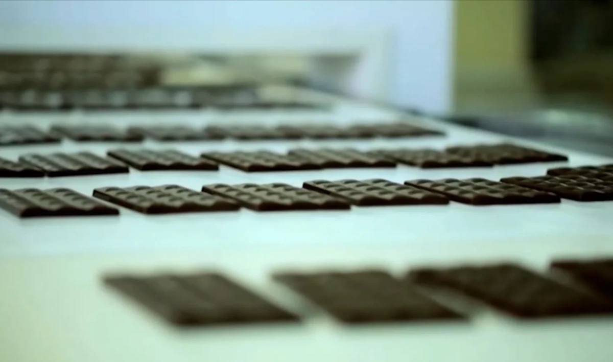 Срок госрегистрации продукции в России сократят до 30 дней - tvspb.ru