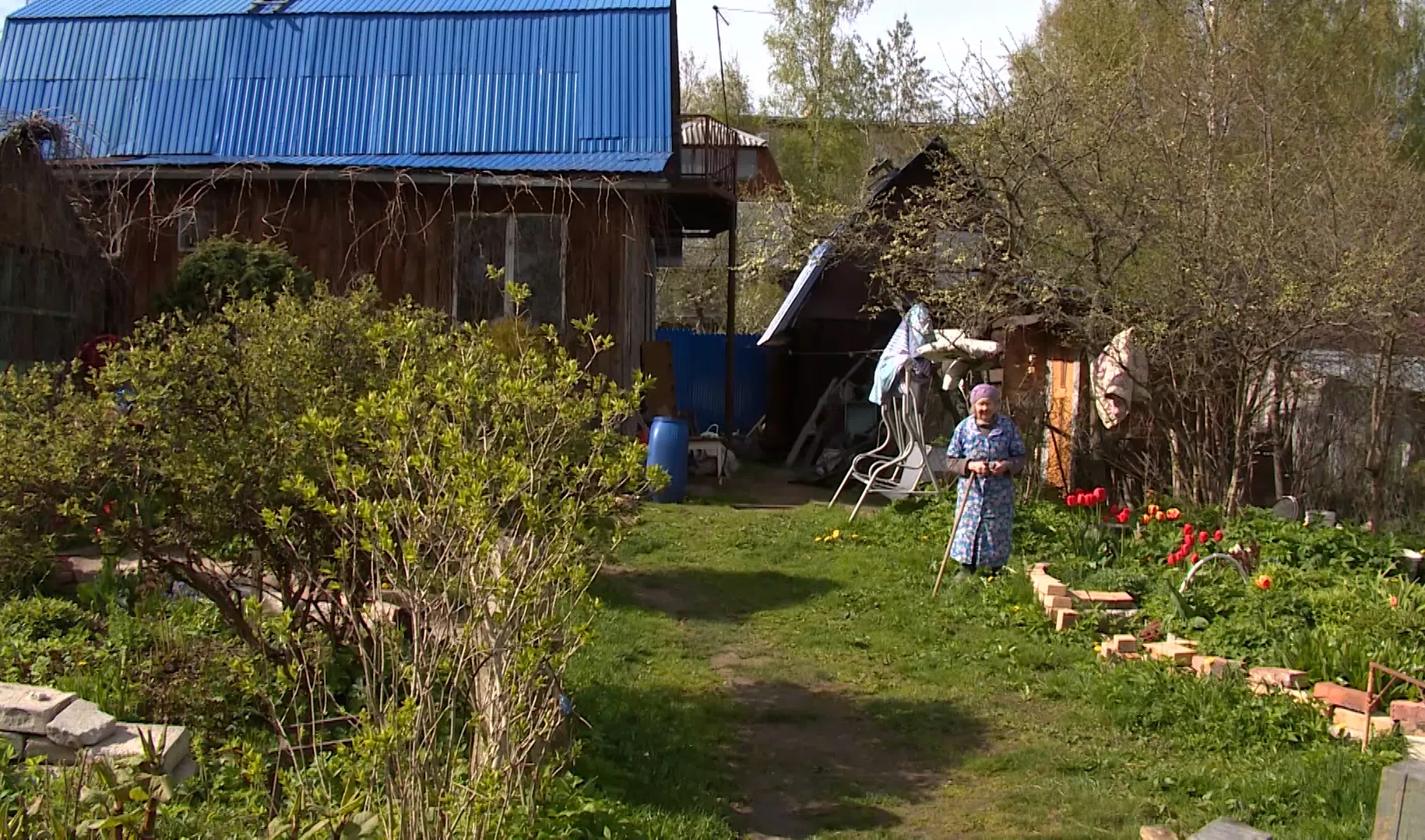 Дачник СНТ. Динская СНТ Дачник. Дачники СНТ Восход Дубна. Подпорожье Погринка Садоводство председатель.