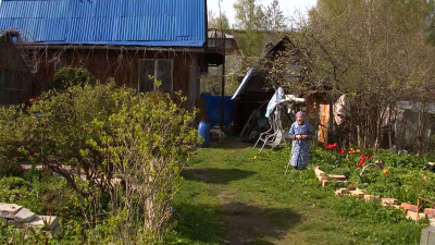 Дачники СНТ «Ржевка-1» жалуются на колдовство со стороны экс-председателя садоводства