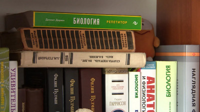 Петербургская школа: выпускники Северной столицы добились рекордного количества высоких баллов на ЕГЭ