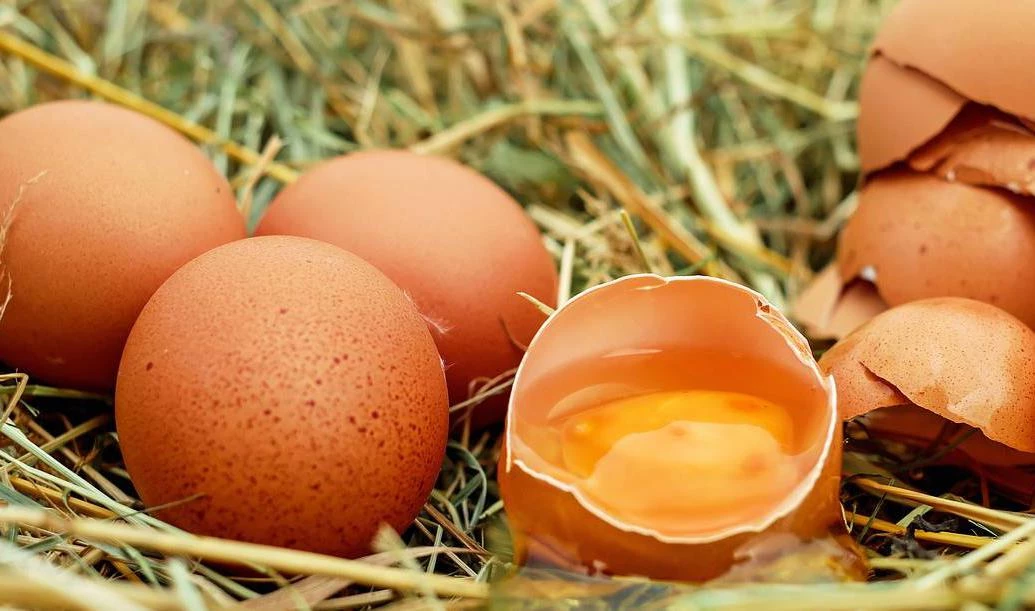 Диетолог рассказал, можно ли есть куриные яйца сырыми - tvspb.ru