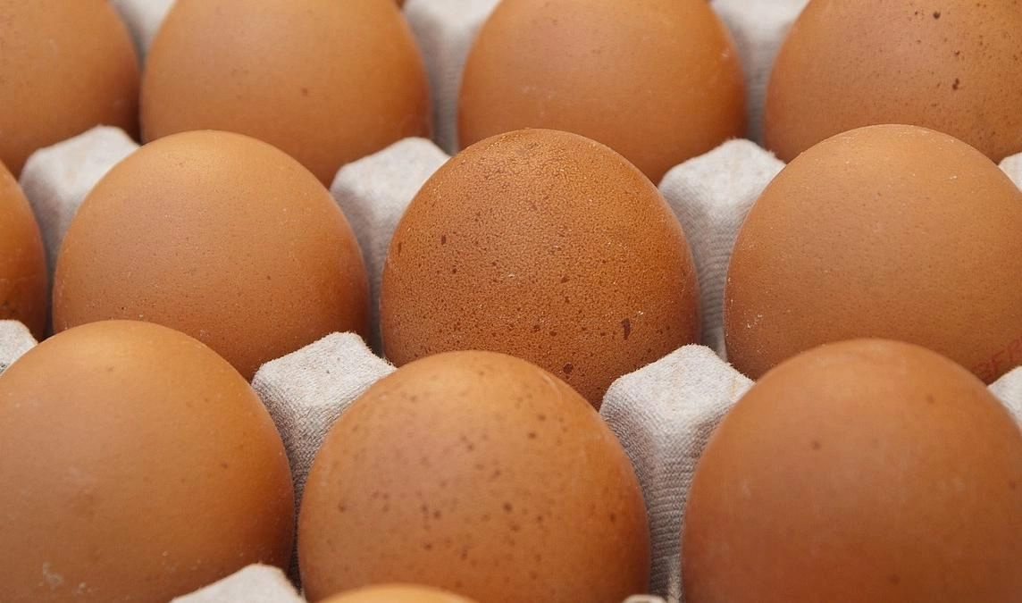 Ритейлеры заявили о намерении поднять цены на яйца и птицу на 10% - tvspb.ru