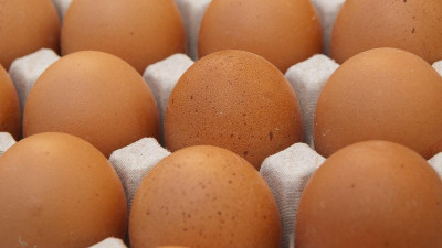 Ритейлеры заявили о намерении поднять цены на яйца и птицу на 10%