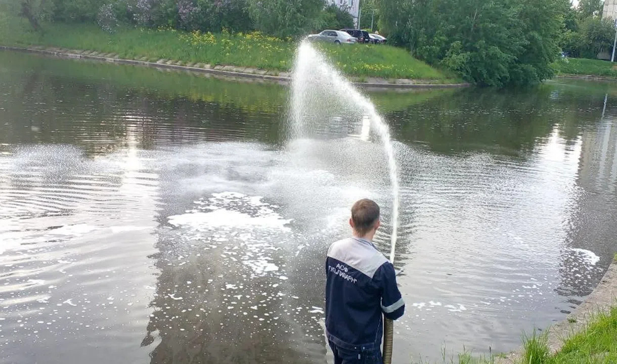 Экологи очистили акваторию реки Сосновки от нефтепродуктов
