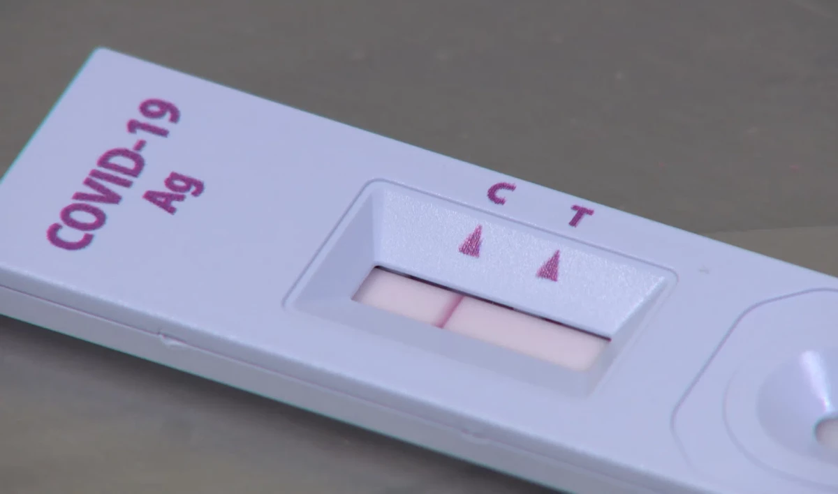 «Омикрон» в Петербурге выявлен у 8127 граждан - tvspb.ru