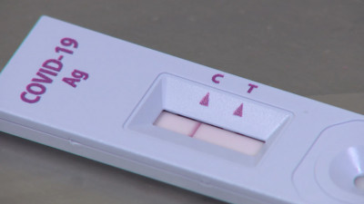 «Омикрон» в Петербурге выявлен у 8127 граждан