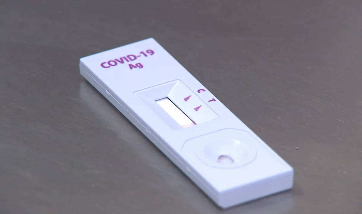 Петербург получил более 200 тысяч экспресс-тестов на коронавирус - tvspb.ru