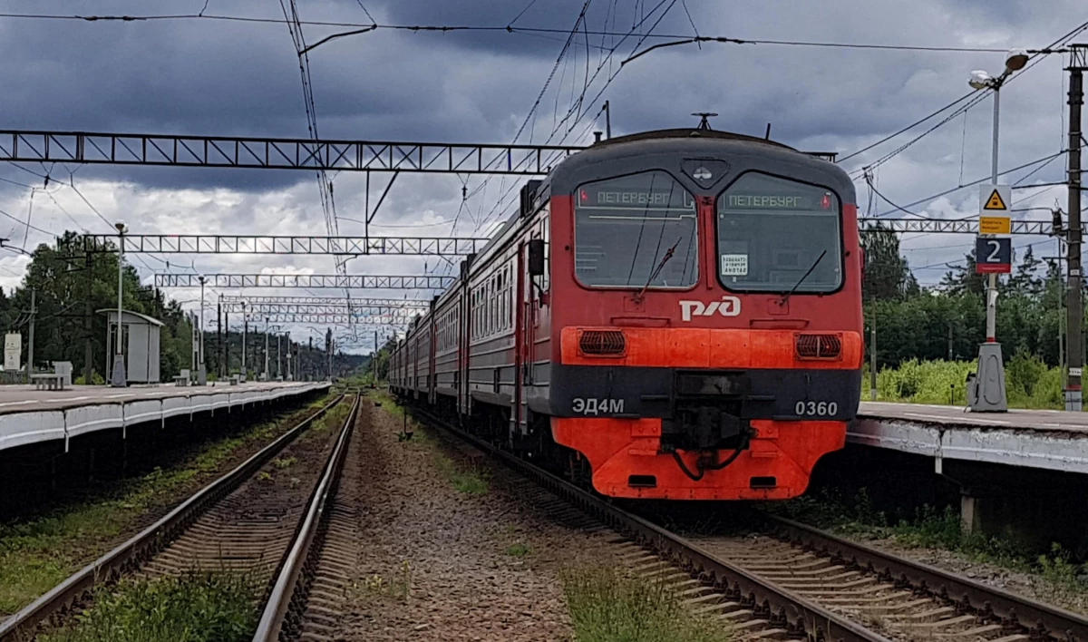 Пригородный транспорт Петербурга усиливает борьбу с коронавирусом - tvspb.ru