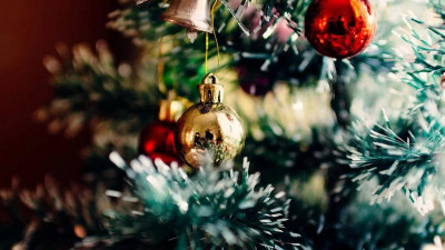 Как петербуржцы планируют встретить Новый год в условиях пандемии