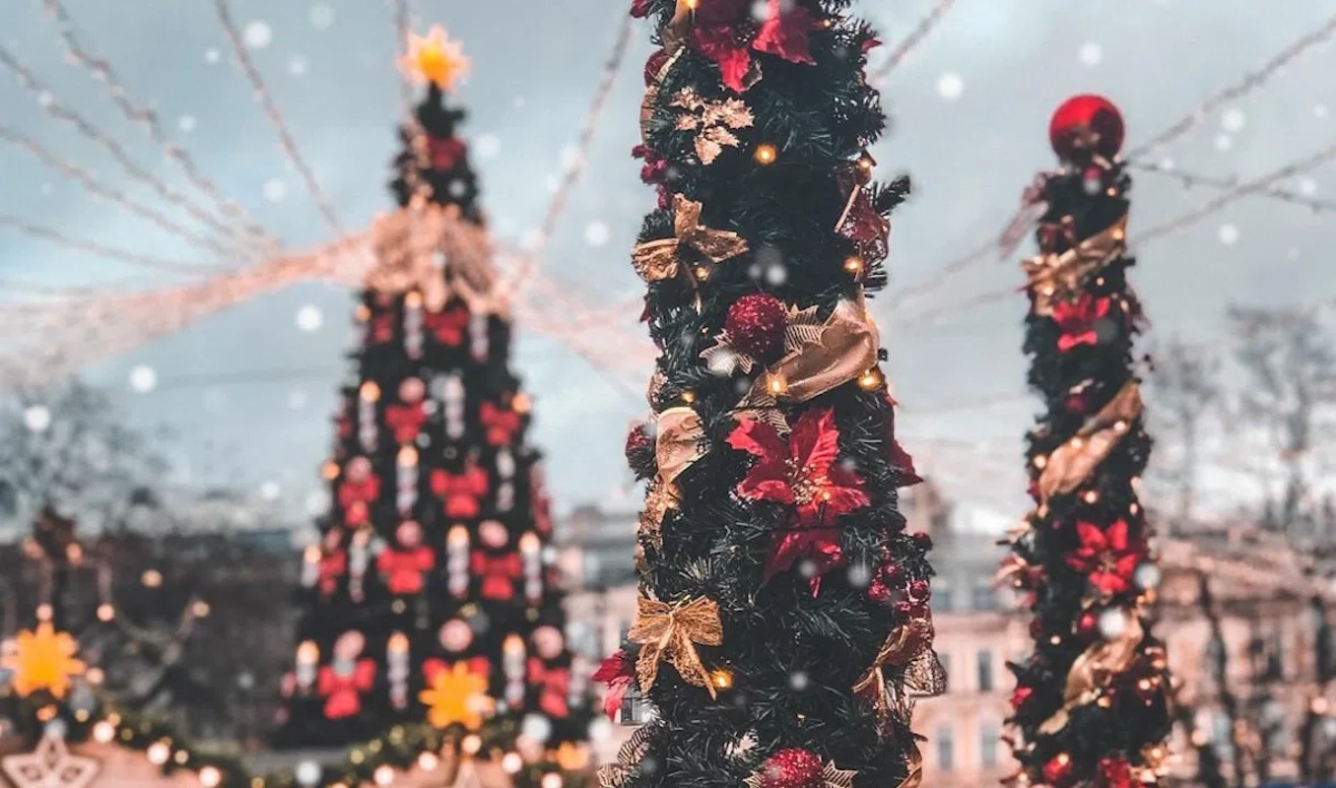 В преддверии Нового года Петербург украсят 20 елок за 52,5 млн рублей - tvspb.ru