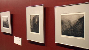 В «Эрарте» проходит выставка фотогравюр Питера Миллера