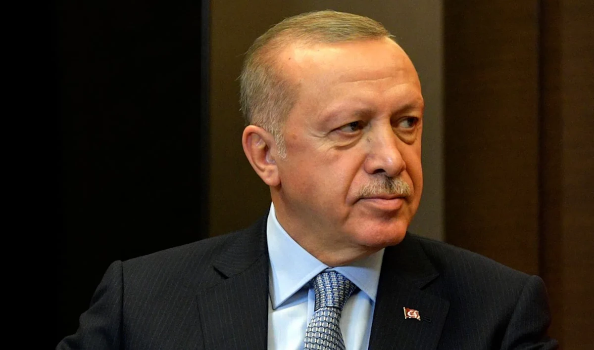 Турция не намерена вводить санкции против России - tvspb.ru