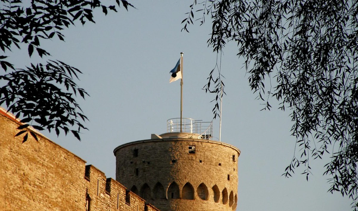 Эстония заняла первое место в мире по заболеваемости COVID на миллион человек - tvspb.ru