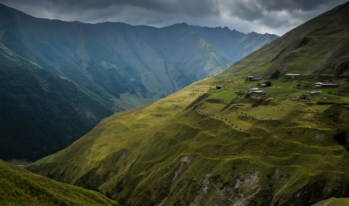 Премьер Грузии подписал заявку на предоставление стране статуса кандидата в члены ЕС - tvspb.ru